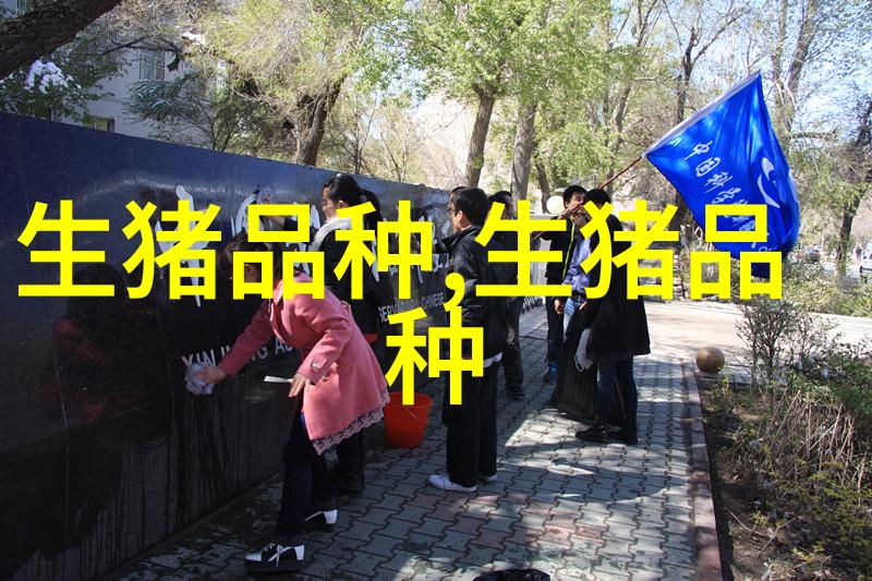 辽宁黑猪