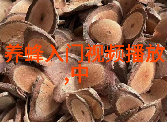 蜜蜂的营养物质维生素