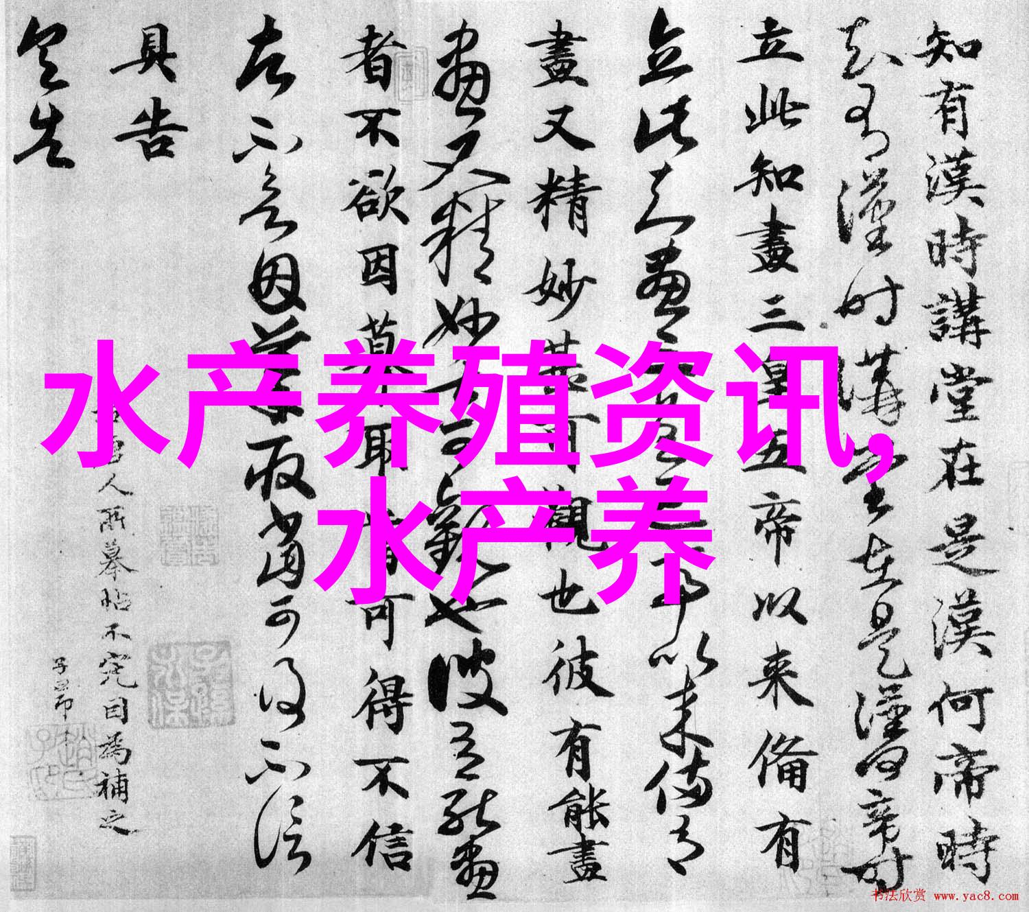 金鲳鱼深加工生产几近空白