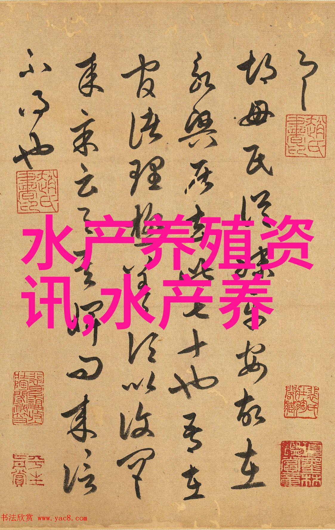 青岛多宝鱼外地找新家