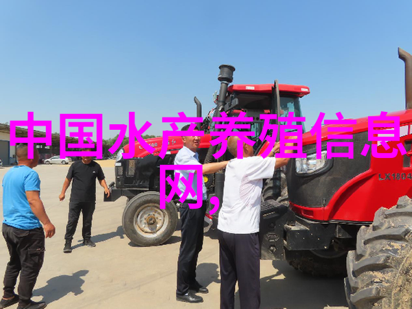 饲养陆龟的七条法则