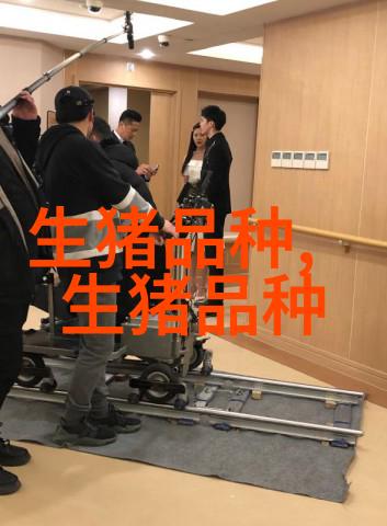 粤东黑猪