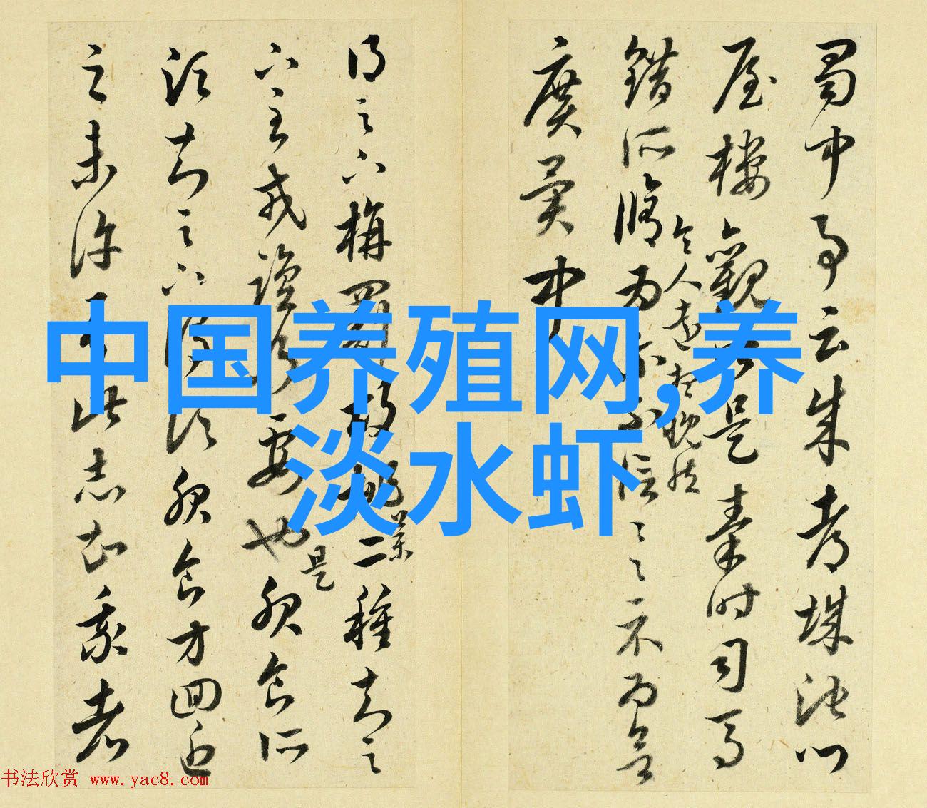 鱼外伤的治疗办法