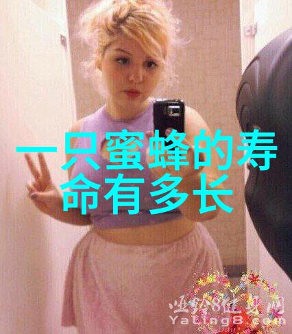 蜜蜂安全越夏要治螨