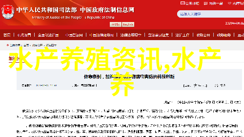 野生大黄鱼 成规模上演王者归来