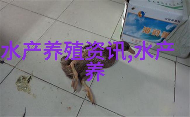 蟹钳港蛏子丰产又丰收