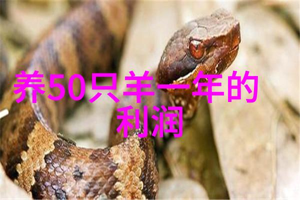 青虾繁育池塘的准备