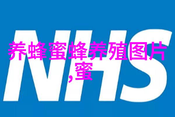 蜜蜂越冬要十防