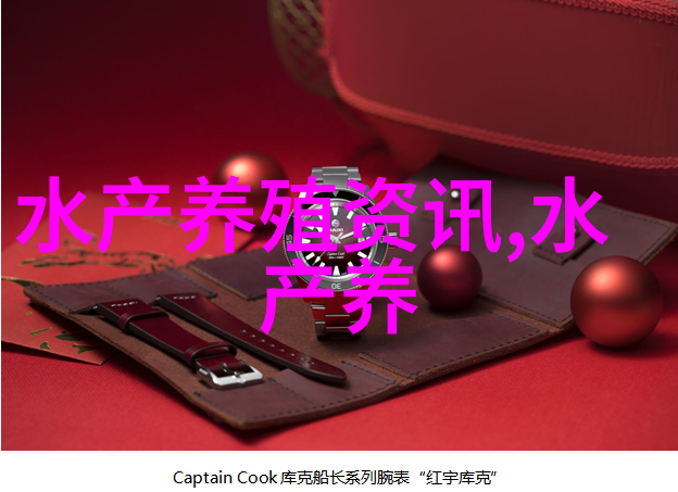 鲍鱼的营养价值