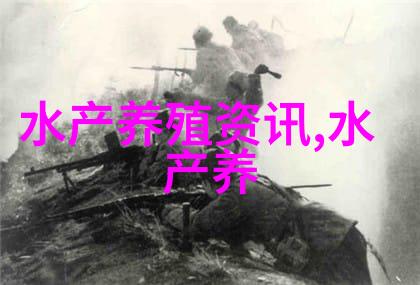 金鲳鱼和鲳鱼的区别