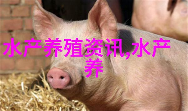 蛏子里长虫错是它的器官