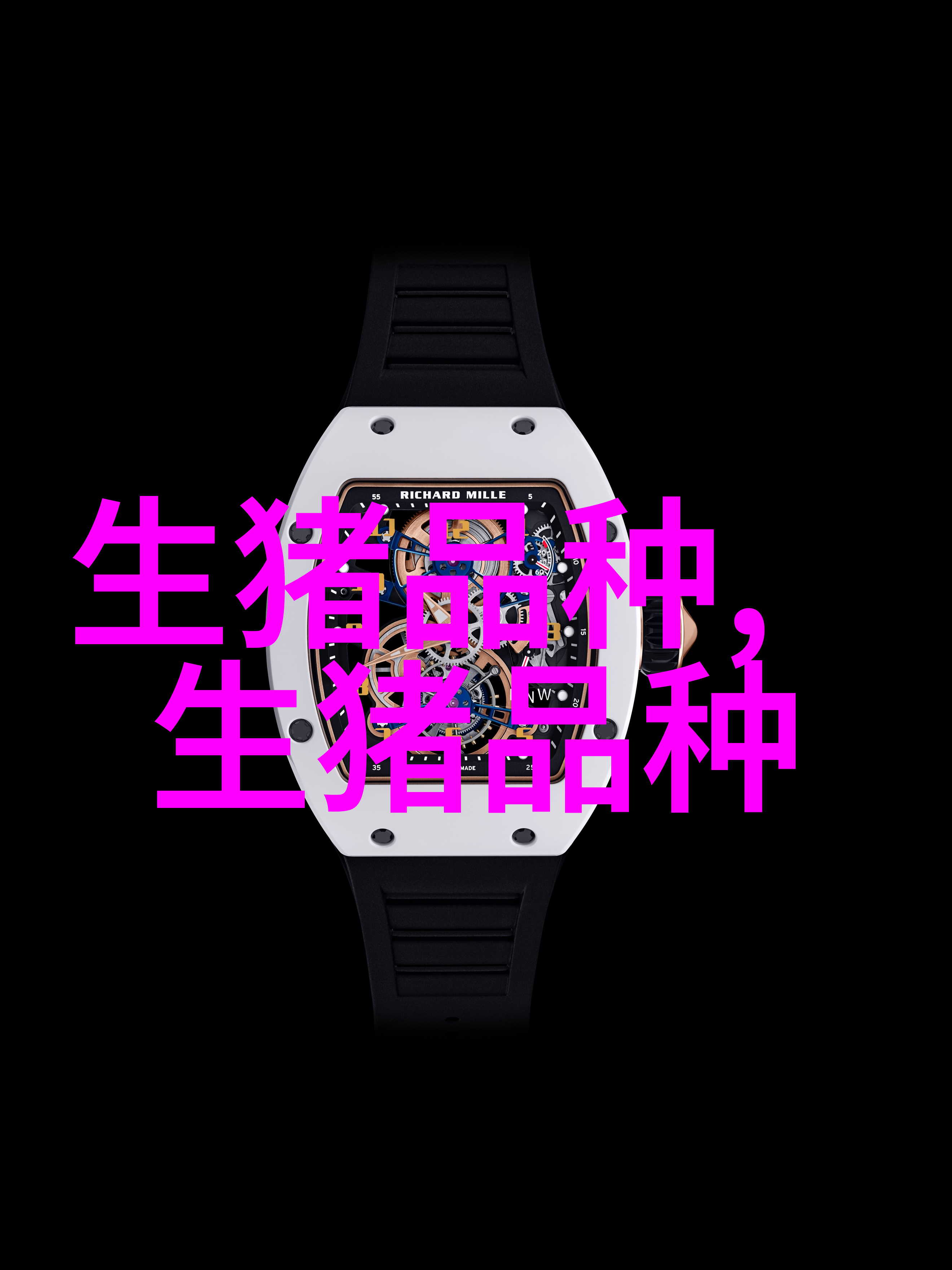 三江白猪
