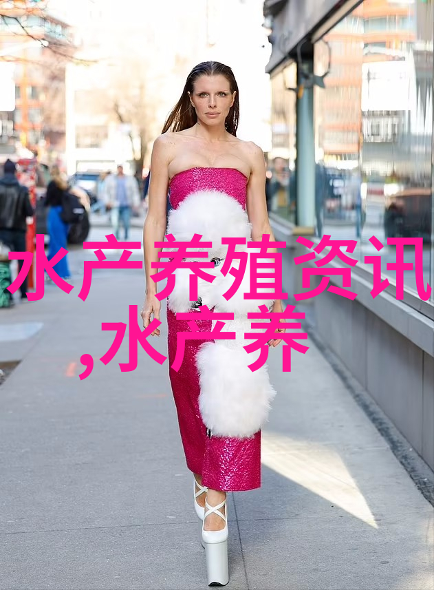 解密舌尖之食材乌贼红烧肉