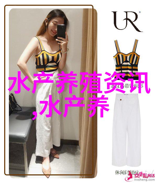 鲍鱼价格继续坚挺