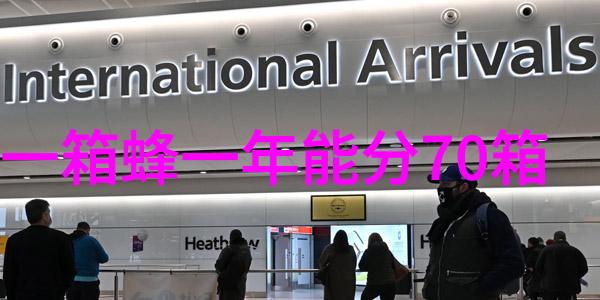 蜜蜂过夏要治螨