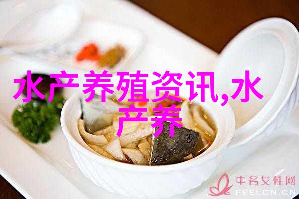 鲍鱼重回贵族之列 价格上涨达30