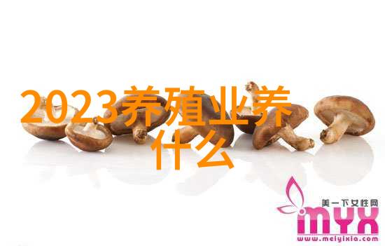 黄鱼烧豆腐