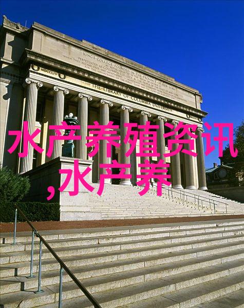 鲳鱼是怎么清洗的